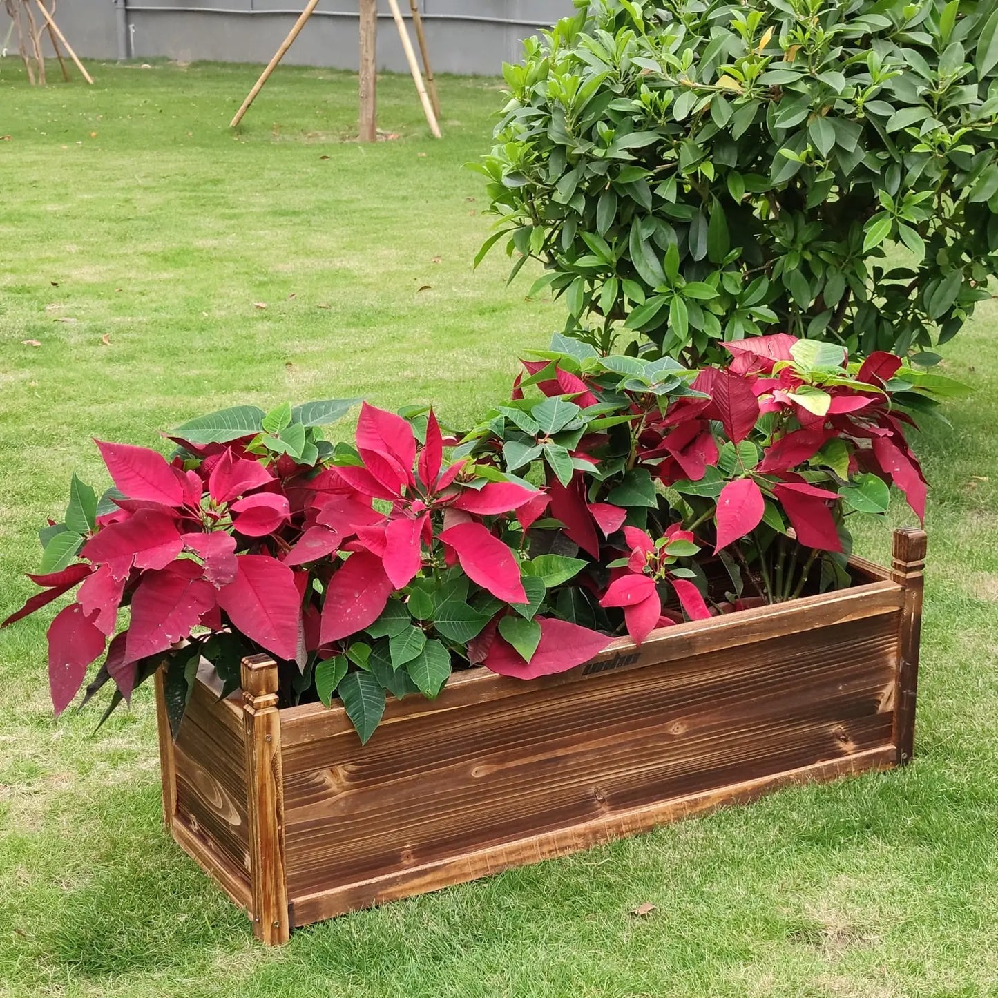 Raised Garden Flower Bed - HuxoHome